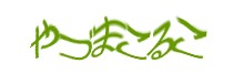 Authentication image